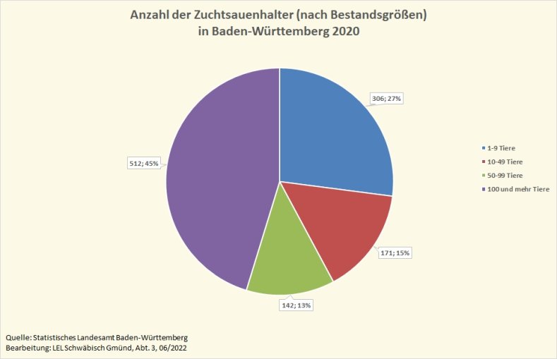 -	Die Grafik zeigt die Anzahl der Zuchtsauenhalter in Baden-Württemberg 2020, aufgeteilt nach Bestandsgrößen