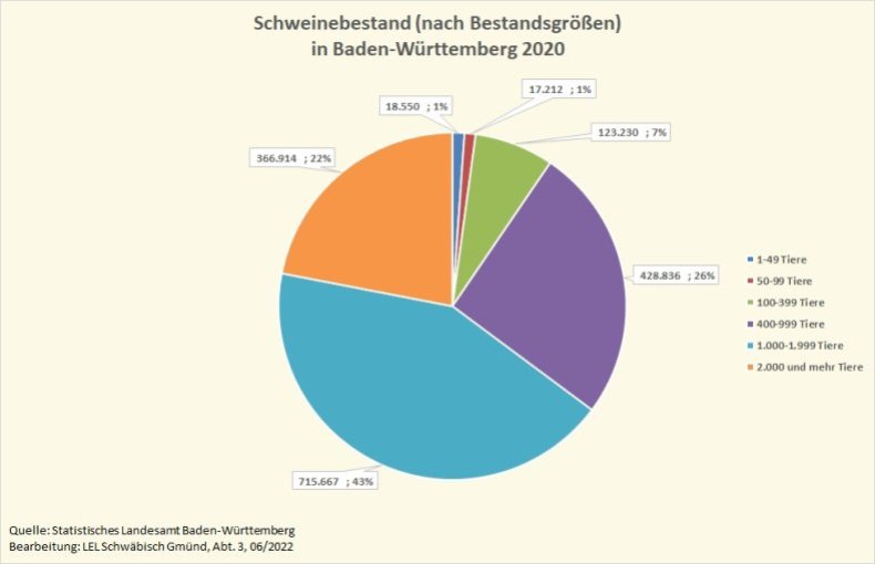 Die Grafik zeigt den Schweinebestand in Baden-Württemberg 2020, aufgeteilt nach Bestandsgrößen