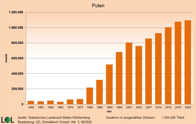 Das Säulendiagramm zeigt die Entwicklung der Anzahl der gehaltenen Puten in Baden-Württemberg seit 1949