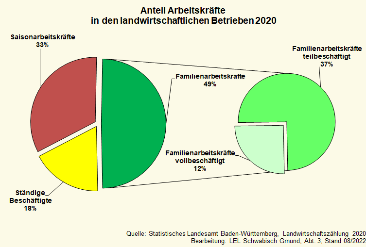 In zwei Kreisdiagrammen wird hier die Verteilung der Arbeitskräfte auf Familienarbeitskräfte, Vollarbeitskräfte, Saisonarbeitskräfte in Baden-Württemberg 2020  dargestellt
