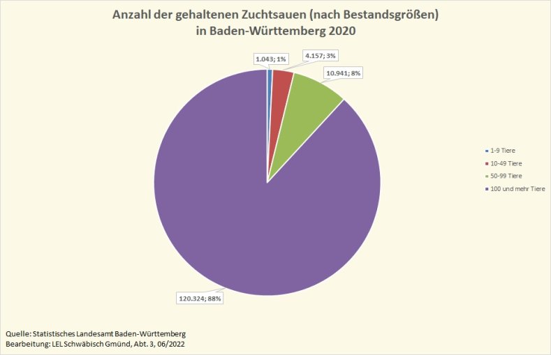 Die Grafik zeigt die Anzahl der gehaltenen Zuchtsauen in Baden-Württemberg 2020, aufgeteilt nach Bestandsgrößen