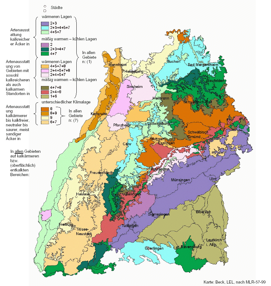 zum Vergrößern bitte anklicken