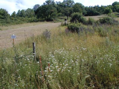 Foto: S. Krebs Foto: S. Krebs