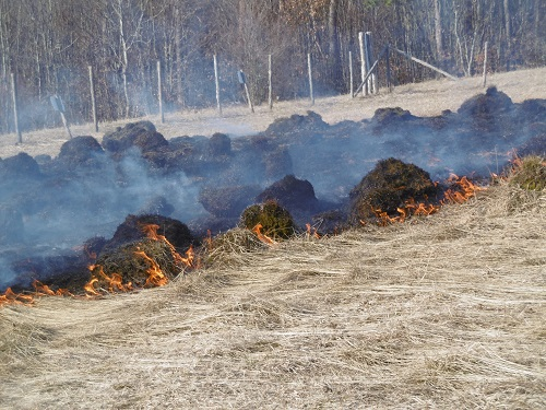 Abflammen einer Versuchsparzelle