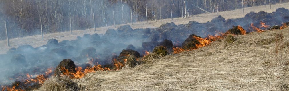 Abflammen einer Versuchsparzelle