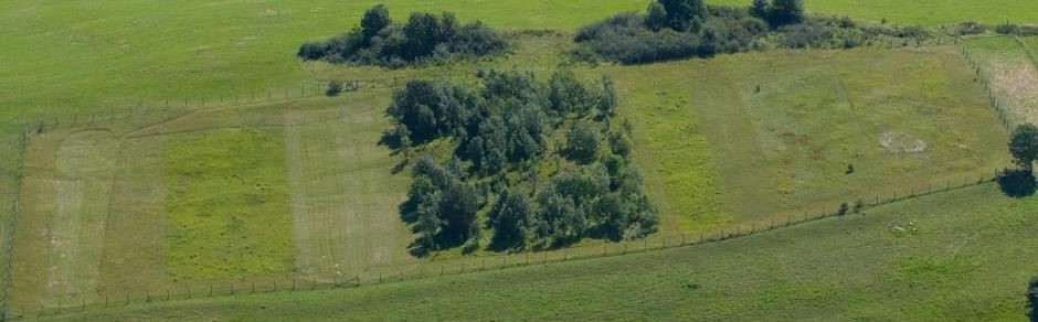 Versuchsstandort mit einzelnen Parzellen; Bild Benjamin Waldmann
