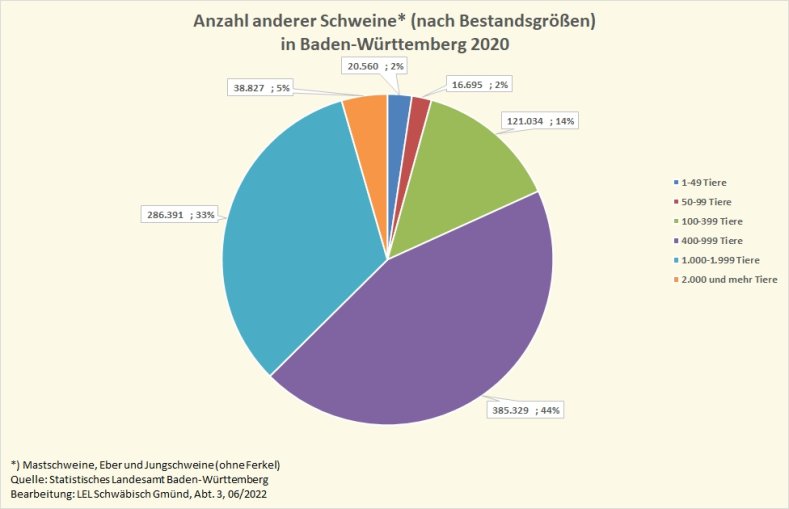 Die Grafik zeigt die Anzahl der gehaltenen anderen Schweine (Mastschweine, Eber, Jungschweine) in Baden-W&uuml;rttemberg 2020, aufgeteilt nach Bestandsgr&ouml;&szlig;en