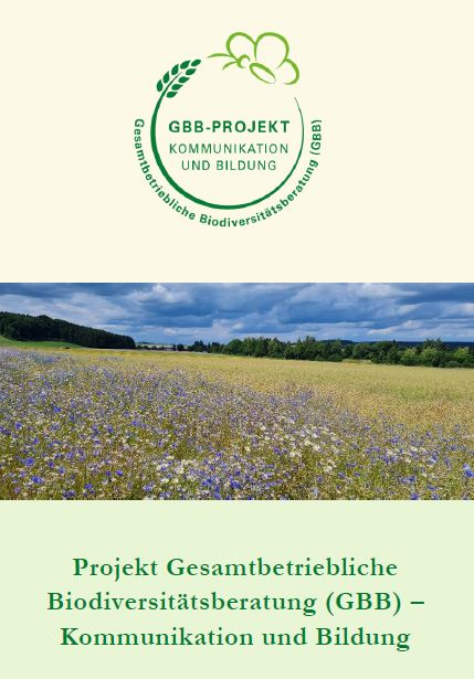 Flyer: Angebote des GBB-Projekts