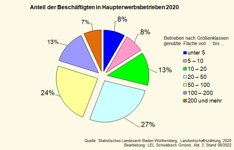 In einem Tortendiagramm wird dargestellt, wie hoch der Anteil der Beschäftigten in den Haupterwerbsbetrieben, aufgeteilt nach Größenklassen, ist.