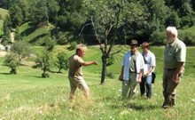 Mehre Personen im Landschaft