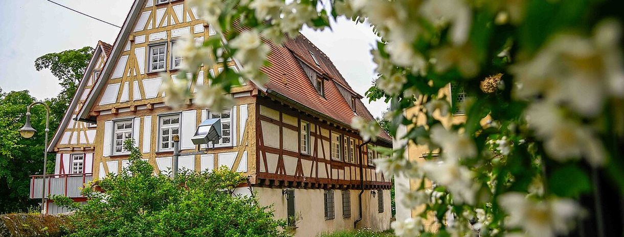 Logo "Unser Dorf hat Zukunft"